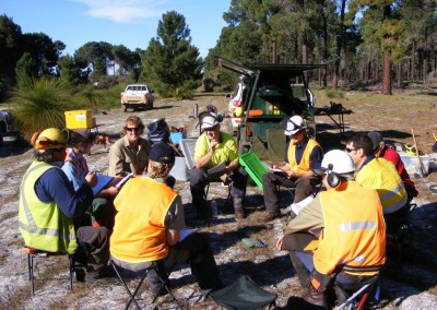 Hazardous Trees - Towie Timber Training